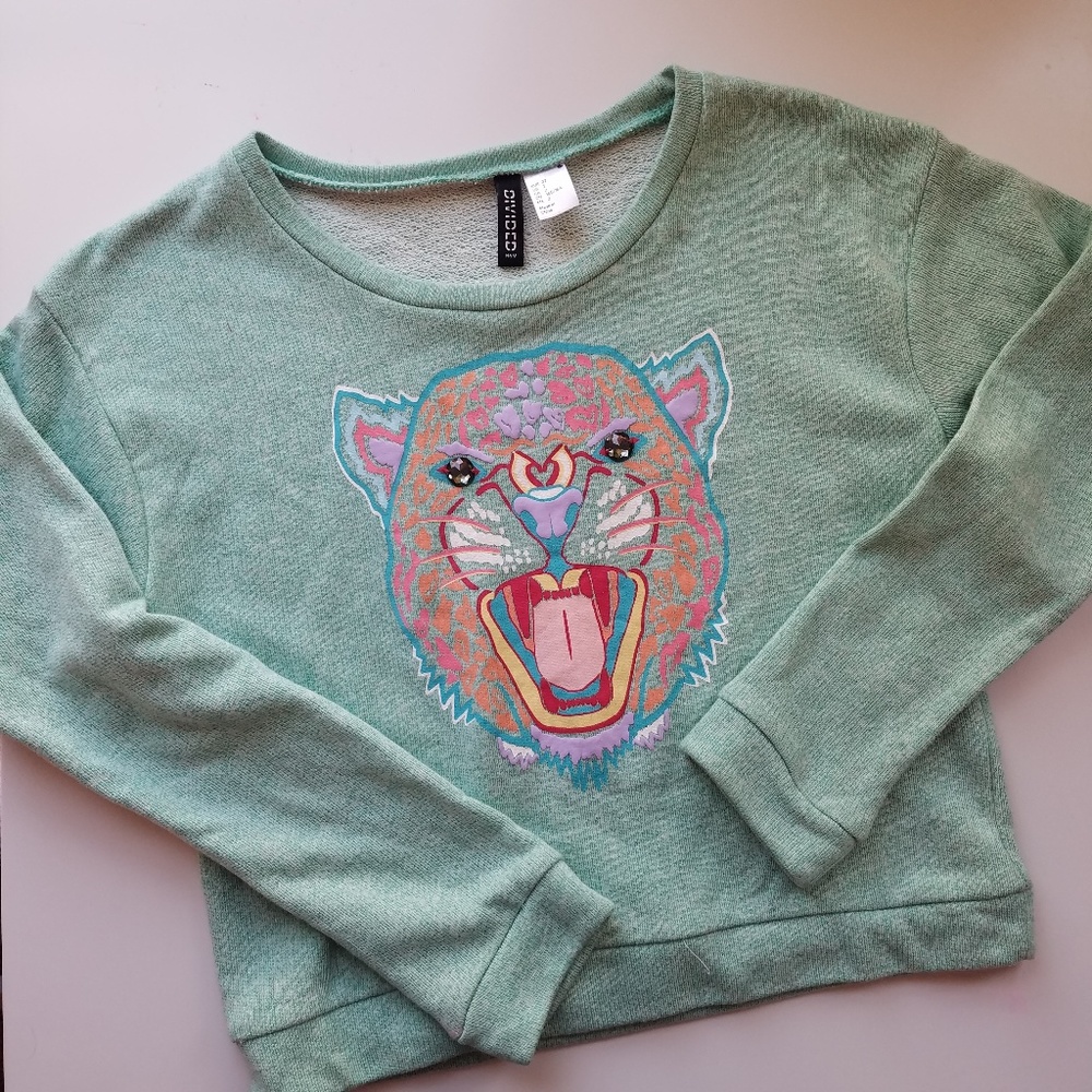 Mint Screen Print Sweater